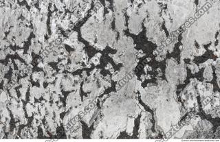 Photo Textures of Asphalt Painted